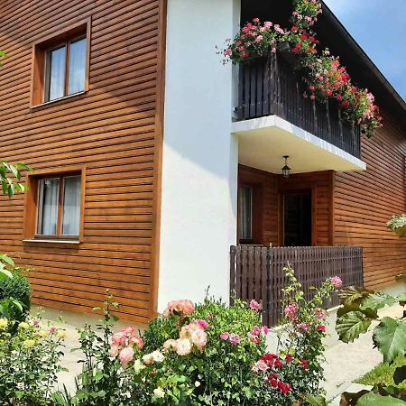 Aleksandar Apartmani Pale Εξωτερικό φωτογραφία