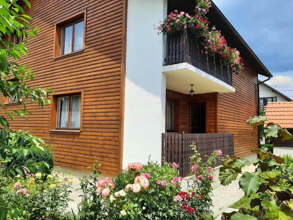 Aleksandar Apartmani Pale Εξωτερικό φωτογραφία